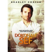 Dokonalý šéf