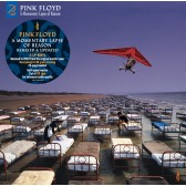 A Momentary Lapse Of Reason (2019 Remix) (2x LP)