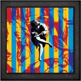 Use Your Illusion (Super deluxe) (12x LP + Blu-ray)