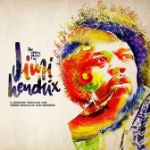 Many Faces of Jimi Hendrix (2x LP) - LP