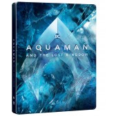 Aquaman a ztracené království (Steelbook - motiv Ice)