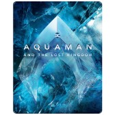 Aquaman a ztracené království (Steelbook - motiv Ice)