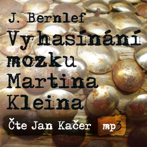 Bernlef: Vyhasínání mozku Martina Kleina (MP3-CD)