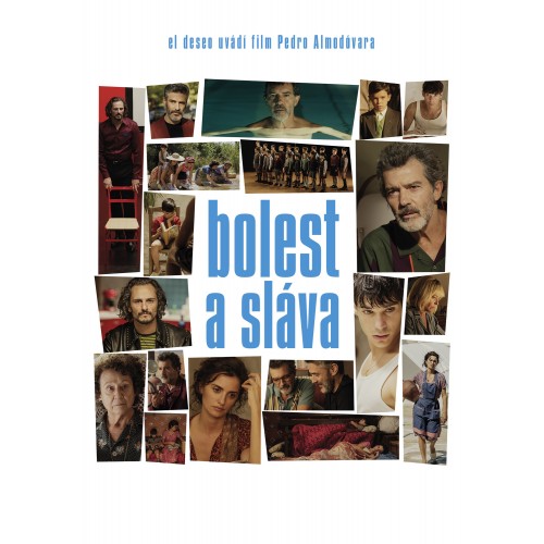 Bolest a sláva - DVD Bolest a sláva - DVD