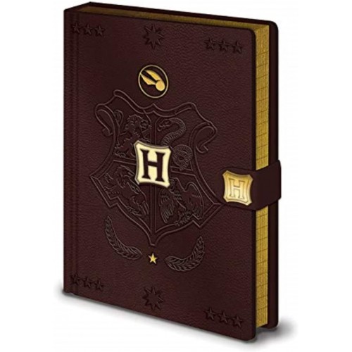 Zápisník Harry Potter - Quidditch / A5 Premium
