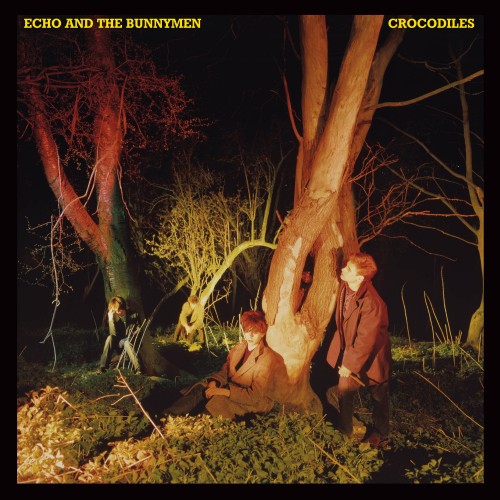Crocodiles - LP