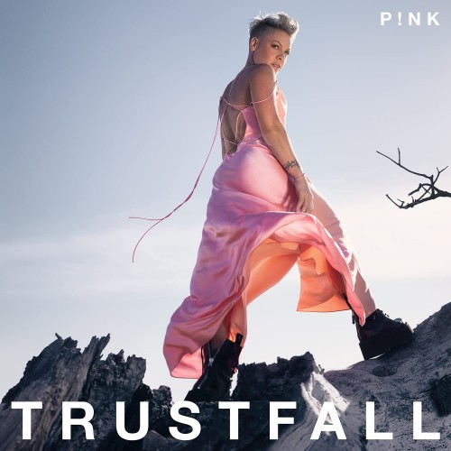 Trustfall - CD