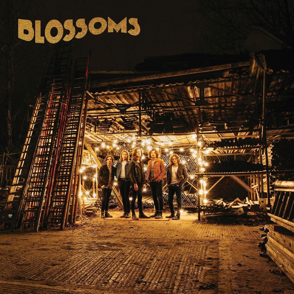 Blossoms Blossoms
