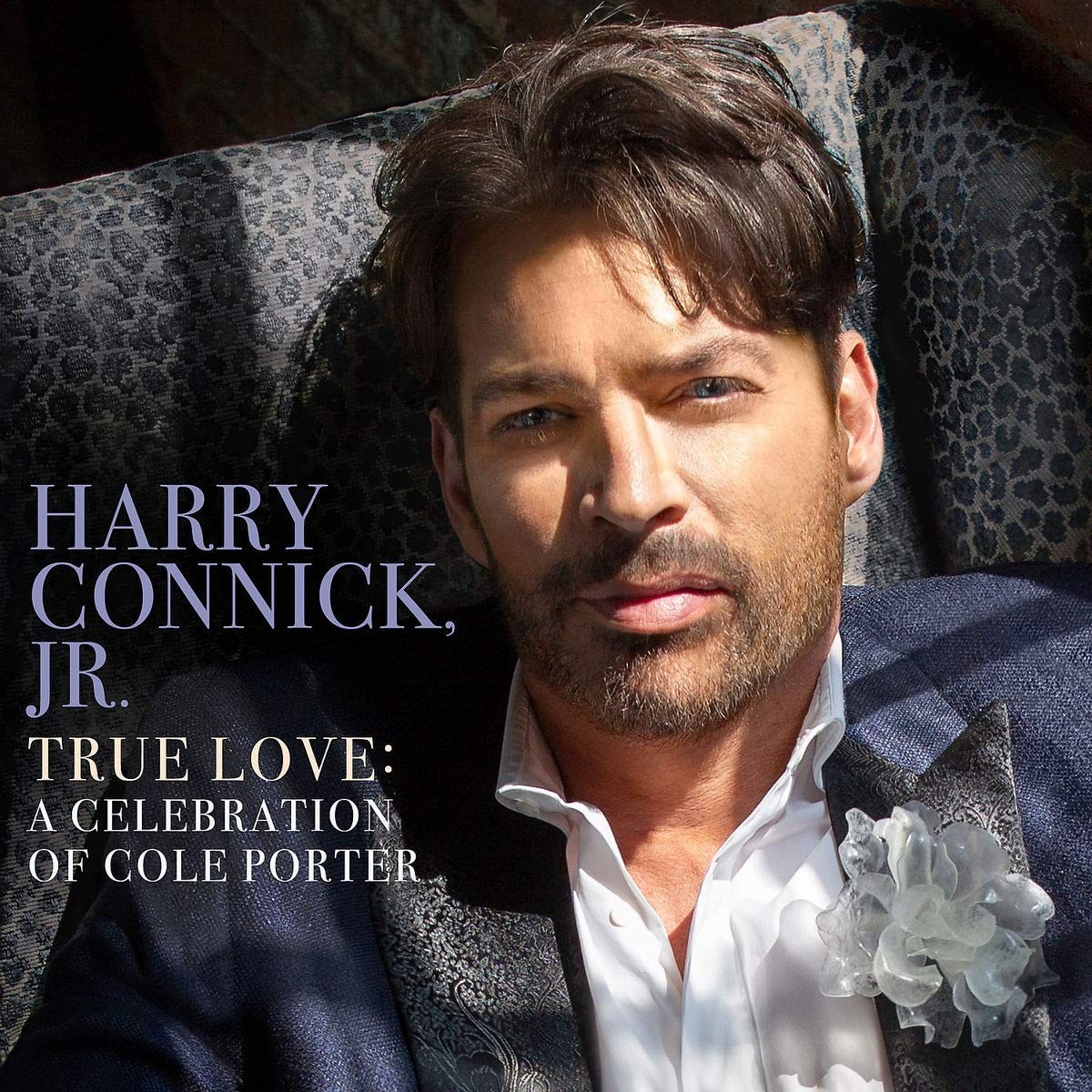 True Love - A Celebration Of Cole Porter True Love - A Celebration Of Cole Porter