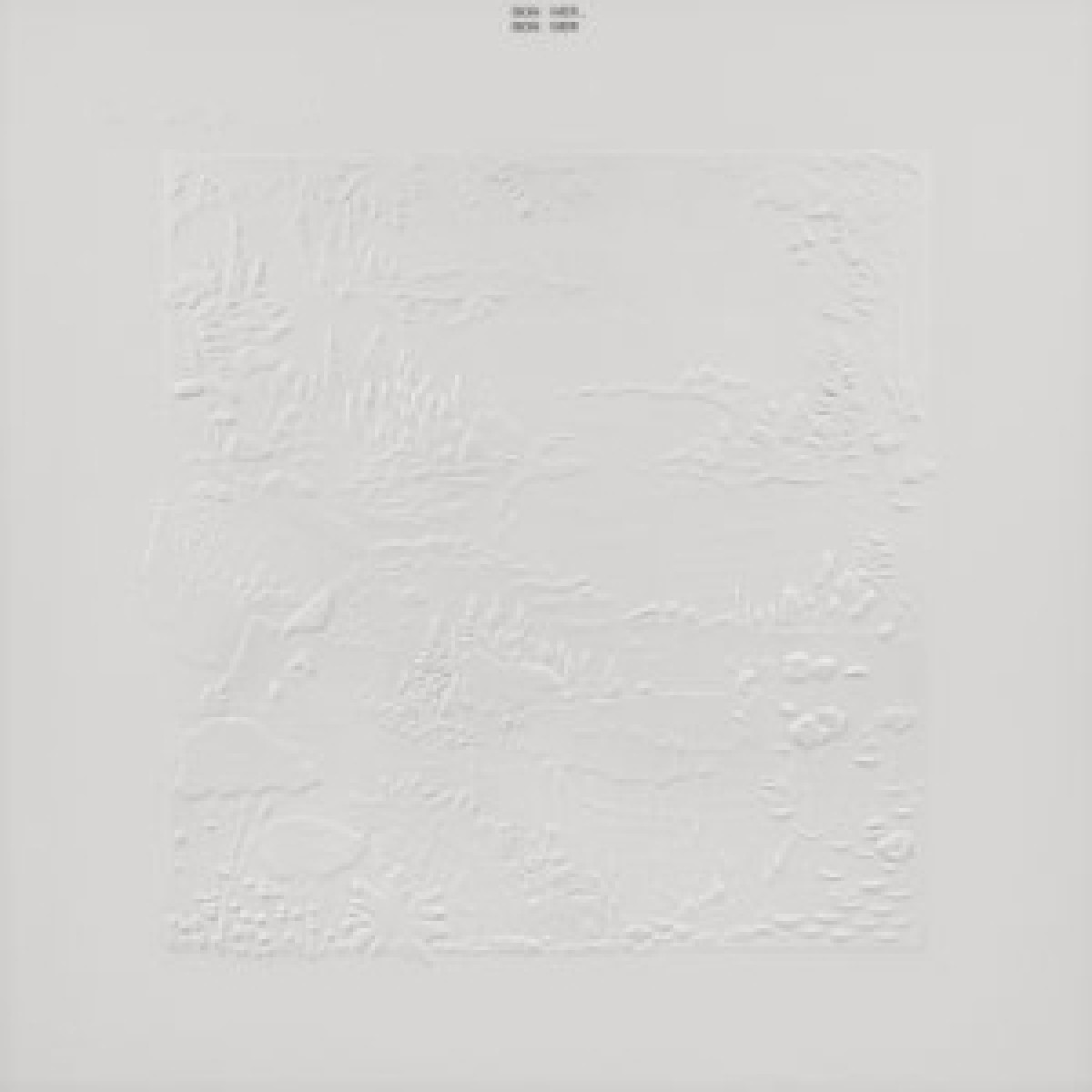 Bon Iver (10th Anniversary 2x LP) Bon Iver (10th Anniversary 2x LP)