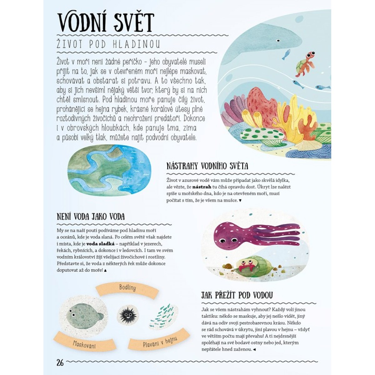 Proč není tučňákům zima