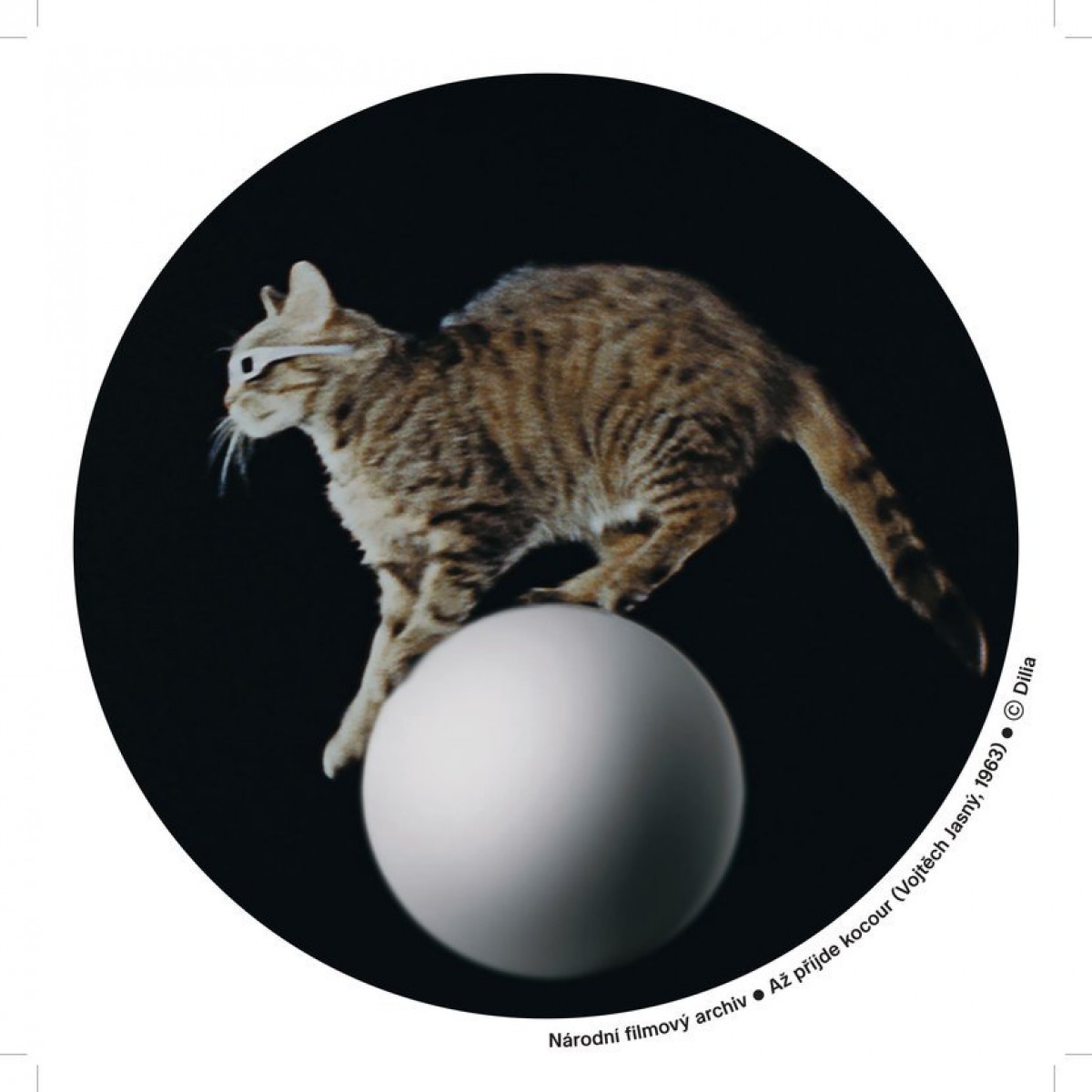 Tričko Až přijde kocour - kočka na kouli