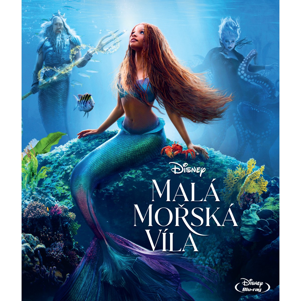 Malá mořská víla