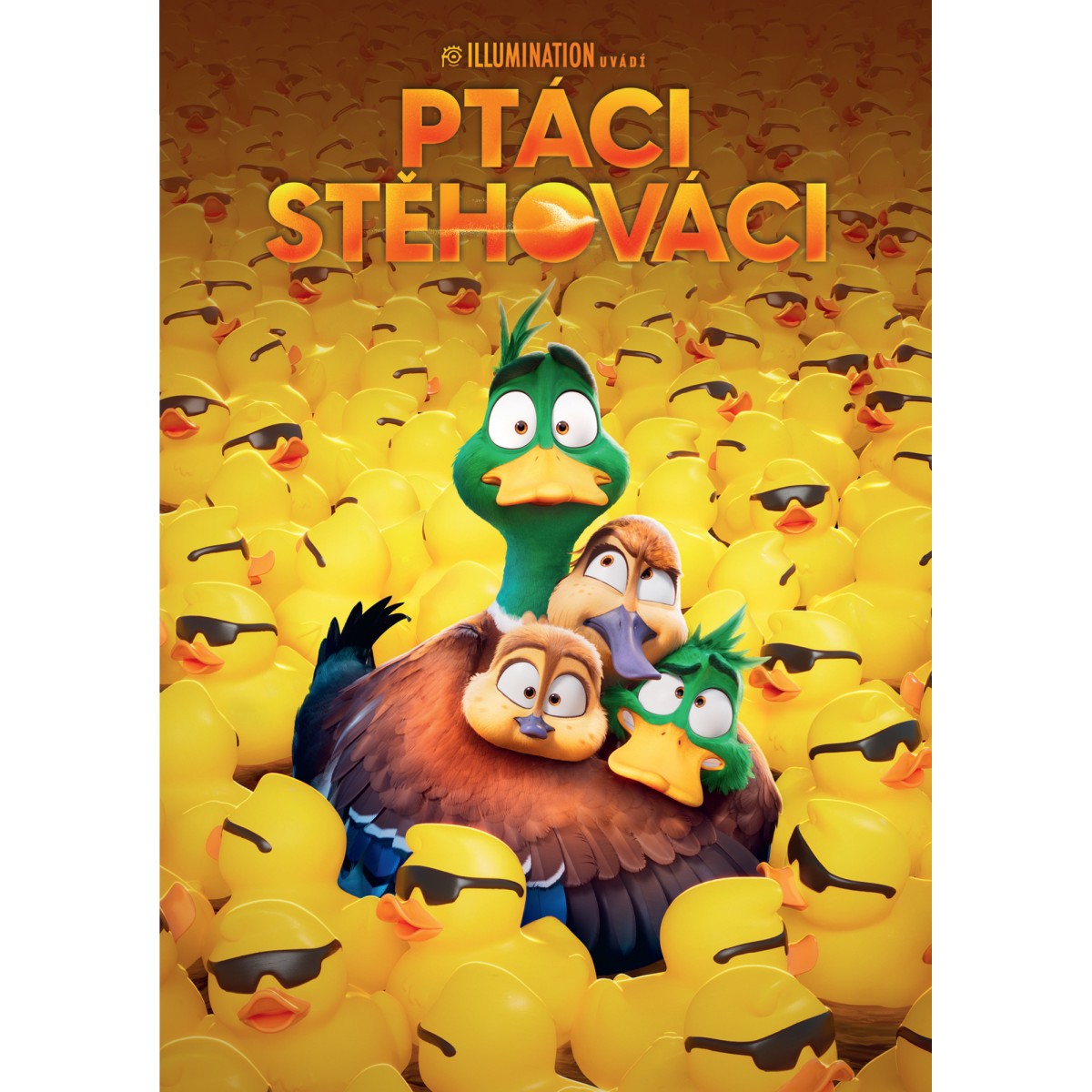 Ptáci stěhováci Ptáci stěhováci