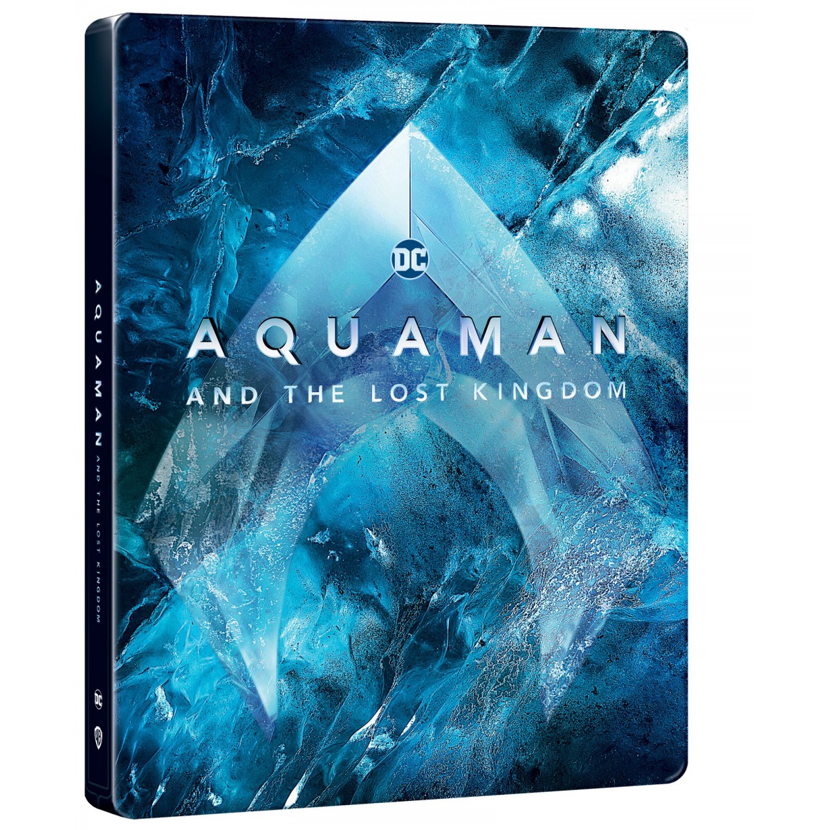 Aquaman a ztracené království (Steelbook - motiv Ice) Aquaman a ztracené království (Steelbook - motiv Ice)