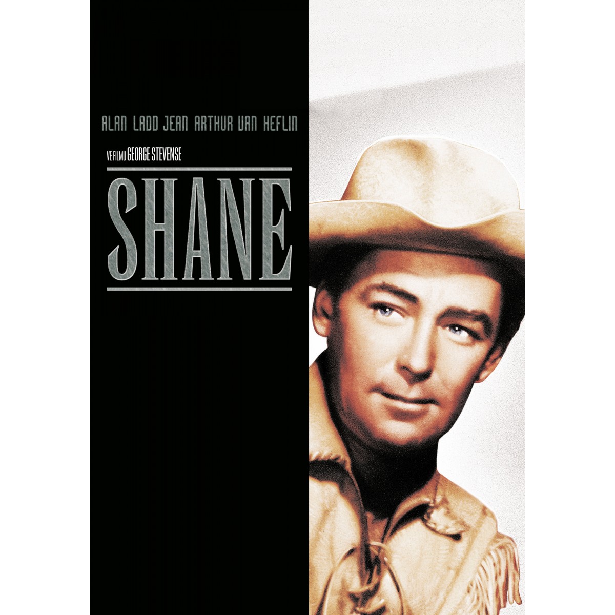 Shane Shane